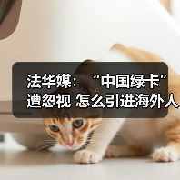 法华媒：“中国绿卡”遭忽视 怎么引进海外人才?（图3）