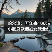 哈尔滨：五年来10亿元小额贷款促妇女就业创业（图2）