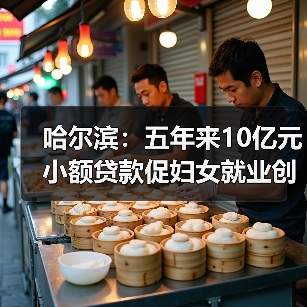哈尔滨：五年来10亿元小额贷款促妇女就业创业（图3）
