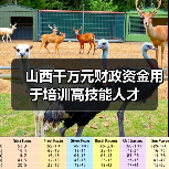 山西千万元财政资金用于培训高技能人才（图4）