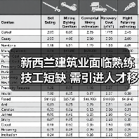新西兰建筑业面临熟练技工短缺 需引进人才移民（图3）