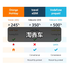 淘鑫车(图2) 淘鑫车(图2)