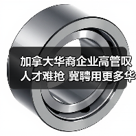 加拿大华裔企业高管叹人才难抢 冀聘用更多华人（图4）