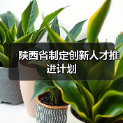 陕西省制定创新人才推进计划（图1）