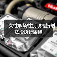 女性职场性别歧视折射法治执行困境(图2) 女性职场性别歧视折射法治执行困境(图2)