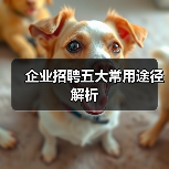企业招聘五大常用途径解析（图2）