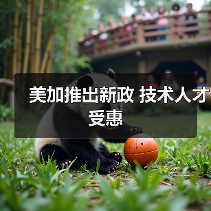 美加推出新政 技术人才受惠（图1）