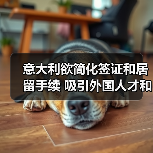 意大利欲简化签证和居留手续 吸引外国人才和投资者（图3）