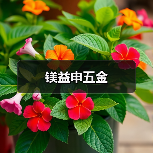 镁益申五金(图3) 镁益申五金(图3)