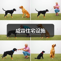 威霖住宅设施（图4）