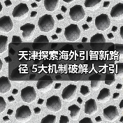 天津探索海外引智新路径 5大机制破解人才引进难题（图4）