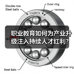 职业教育如何为产业升级注入持续人才红利？（图3）