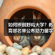 如何辨别野鸡大学？教育部名单公布助力留学防骗（图1）