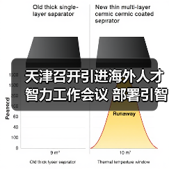 天津召开引进海外人才智力工作会议 部署引智引才工作（图1）