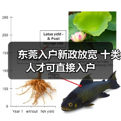 东莞入户新政放宽 十类人才可直接入户（图2）