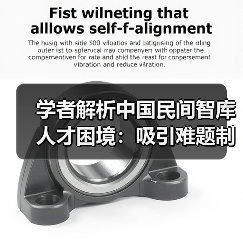 学者解析中国民间智库人才困境：吸引难题制约发展（图1）