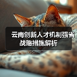 云南创新人才机制强省战略措施解析（图2）