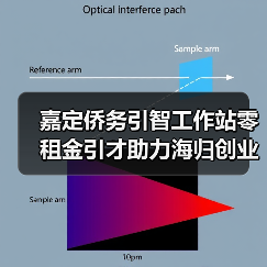 嘉定侨务引智工作站零租金引才助力海归创业（图3）
