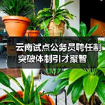 云南试点公务员聘任制 突破体制引才聚智（图2）