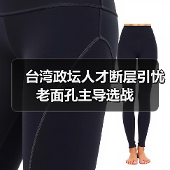 台湾政坛人才断层引忧 老面孔主导选战（图4）
