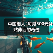 中国雨人