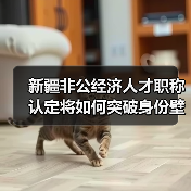 新疆非公经济人才职称认定将如何突破身份壁垒？（图1）