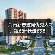 海南新春慰问优秀人才，组织部长送祝福（图1）