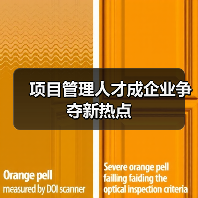 项目管理人才成企业争夺新热点（图3）