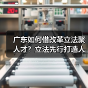 广东如何借改革立法聚人才？立法先行打造人才新优势（图4）