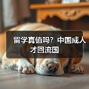 留学真值吗？中国成人才回流国（图3）