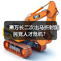 萧万长二次出马折射国民党人才危机？（图4）