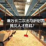 萧万长二次出马折射国民党人才危机？（图2）