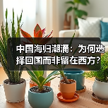 中国海归潮涌：为何选择回国而非留在西方？（图2）