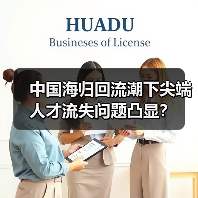 中国海归回流潮下尖端人才流失问题凸显？（图4）