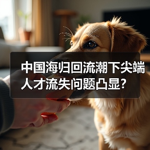 中国海归回流潮下尖端人才流失问题凸显？（图2）