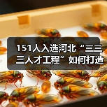 151人入选河北“三三三人才工程”如何打造创新高地？（图4）