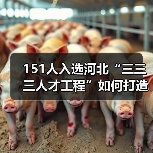 151人入选河北“三三三人才工程”如何打造创新高地？（图1）