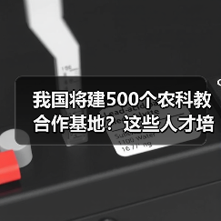 我国将建500个农科教合作基地？这些人才培养计划如何助力农业现代化？（图4）
