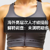 海外高层次人才被提前解聘调查：未满聘期缘何遭解聘？（图4）