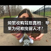 频繁收购背后真相：苹果为何难挽留人才？（图1）