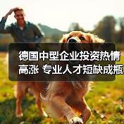 德国中型企业投资热情高涨 专业人才短缺成瓶颈（图2）