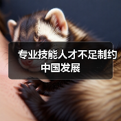 专业技能人才不足制约中国发展（图1）