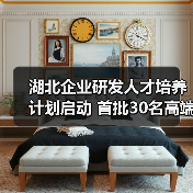 湖北企业研发人才培养计划启动 首批30名高端人才入选，如何推动科技创新？（图4）