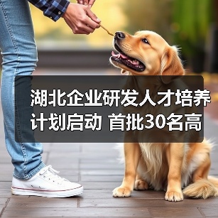 湖北企业研发人才培养计划启动 首批30名高端人才入选，如何推动科技创新？（图2）