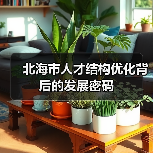 北海市人才结构优化背后的发展密码(图2) 北海市人才结构优化背后的发展密码(图2)