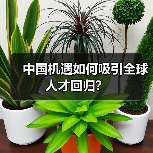 中国机遇如何吸引全球人才回归？（图1）