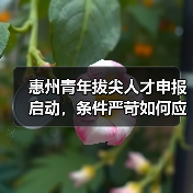 惠州青年拔尖人才申报启动,条件严苛如何应对?(图1) 惠州青年拔尖人才申报启动,条件严苛如何应对?(图1)