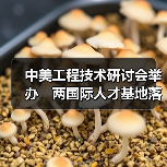 中美工程技术研讨会举办 两国际人才基地落户榕(图4) 中美工程技术研讨会举办 两国际人才基地落户榕(图4)