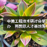 中美工程技术研讨会举办 两国际人才基地落户榕(图2) 中美工程技术研讨会举办 两国际人才基地落户榕(图2)