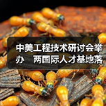 中美工程技术研讨会举办 两国际人才基地落户榕(图3) 中美工程技术研讨会举办 两国际人才基地落户榕(图3)